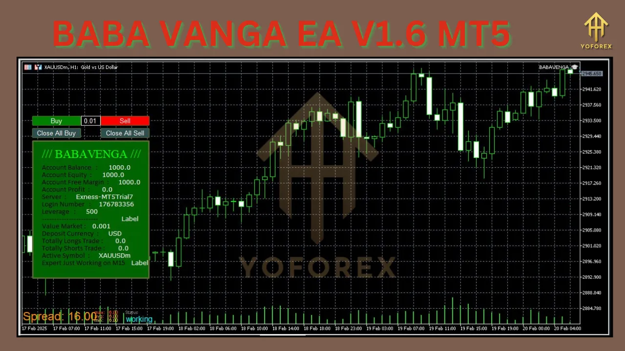 BABA VANGA EA V1.6 2 BABA VANGA EA V1.6