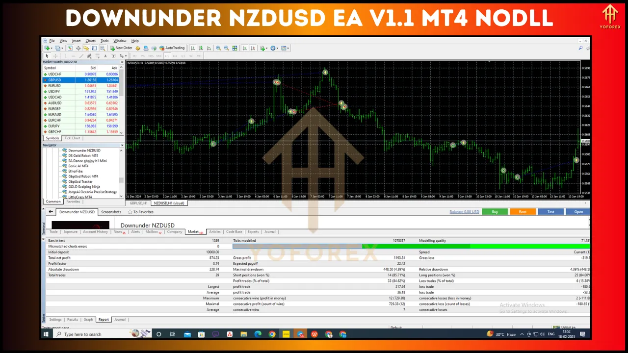 Downunder NZDUSD EA V1.1 3 Downunder NZDUSD EA V1.1