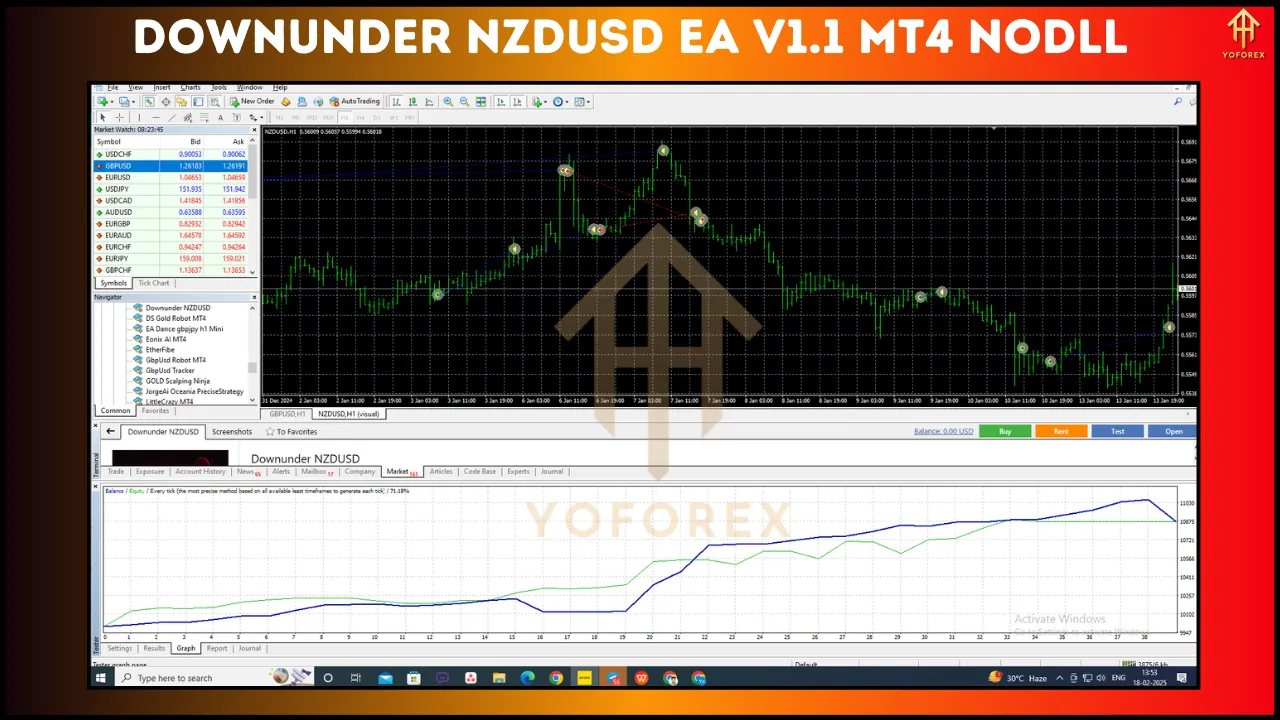 Downunder NZDUSD EA V1.1 4 Downunder NZDUSD EA V1.1