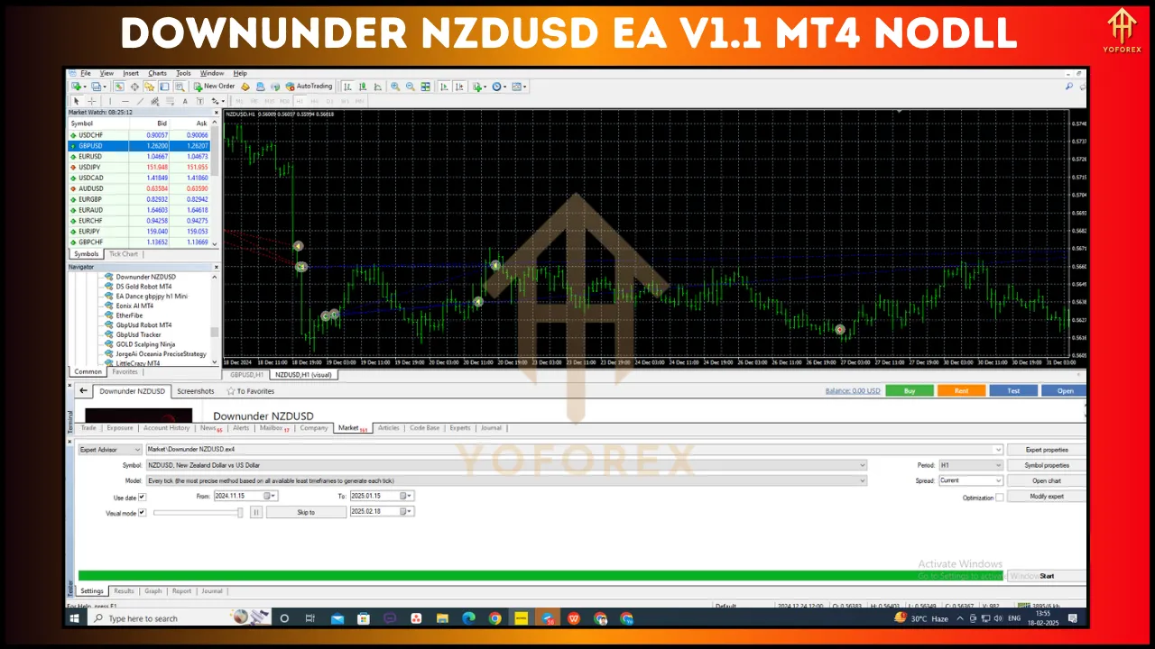 Downunder NZDUSD EA V1.1 5 Downunder NZDUSD EA V1.1