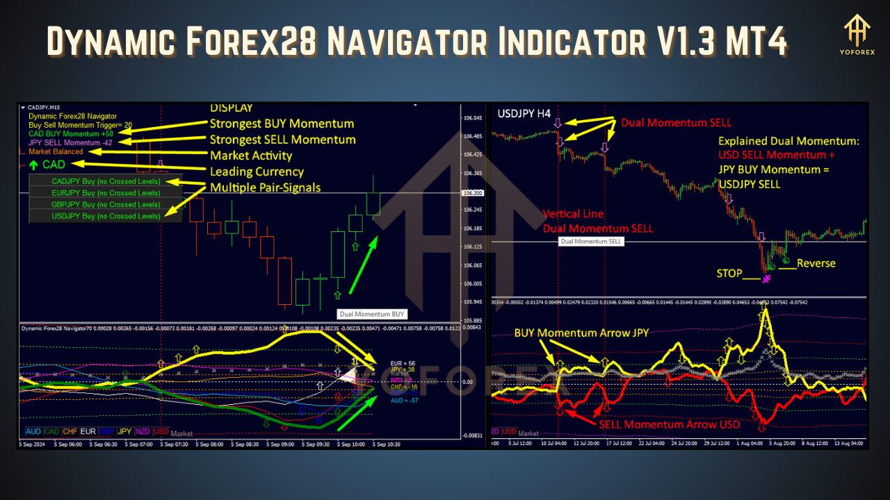 Dynamic Forex28 Navigator Indicator V1.3