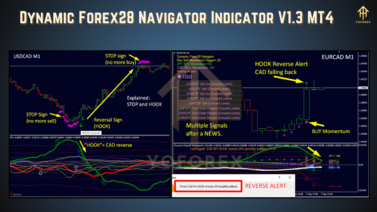 Dynamic Forex28 Navigator Indicator V1.3