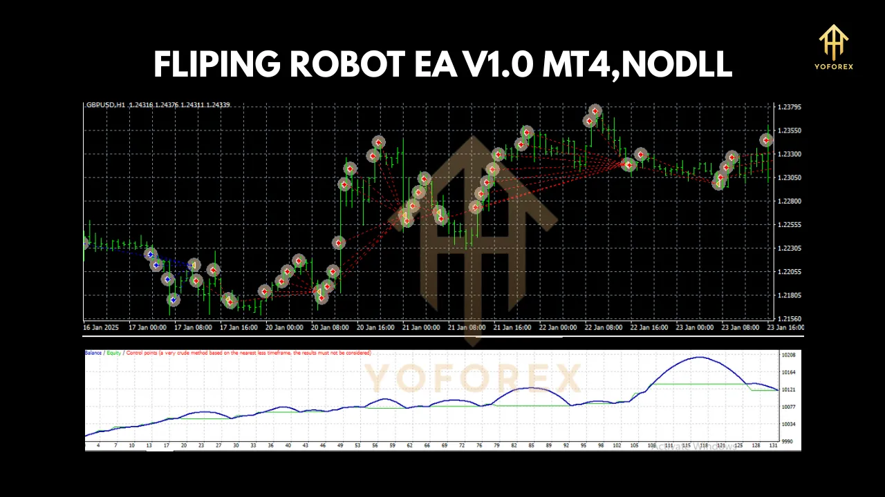 FLIPING ROBOT EA V1.0 3 FLIPING ROBOT EA V1.0