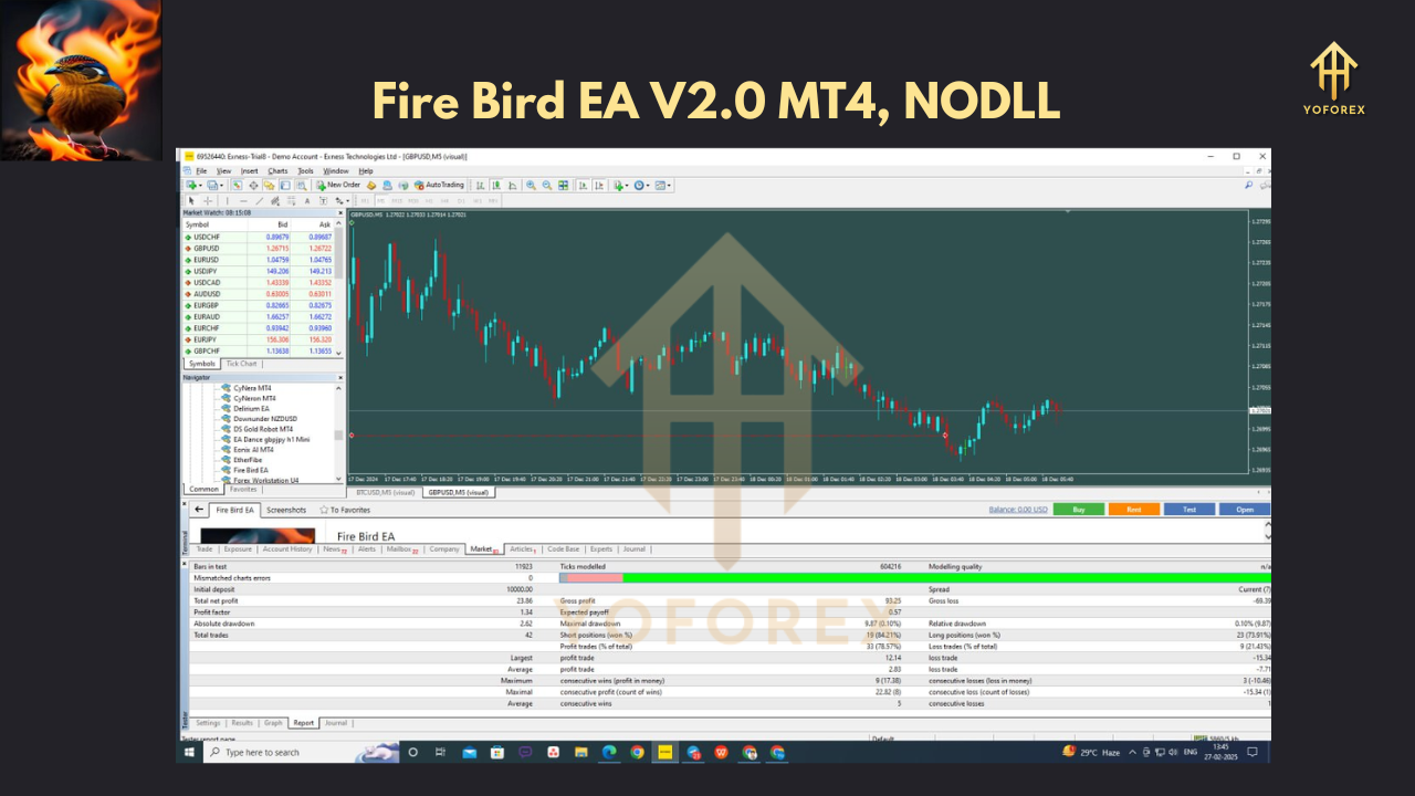 Fire Bird EA V2.0 3 Fire Bird EA V2.0