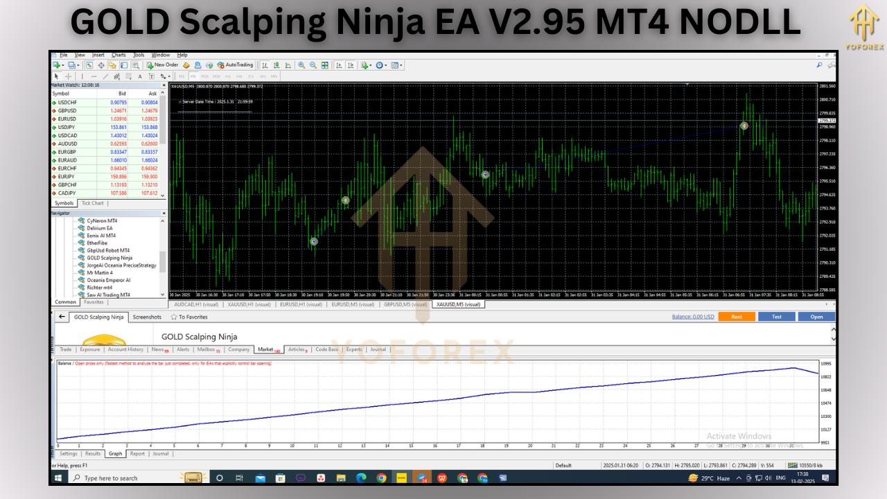 GOLD Scalping Ninja EA V2.95