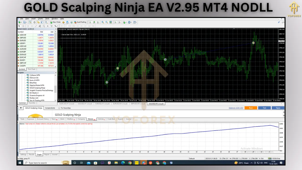 GOLD Scalping Ninja EA V2.95 6 GOLD Scalping Ninja EA V2.95