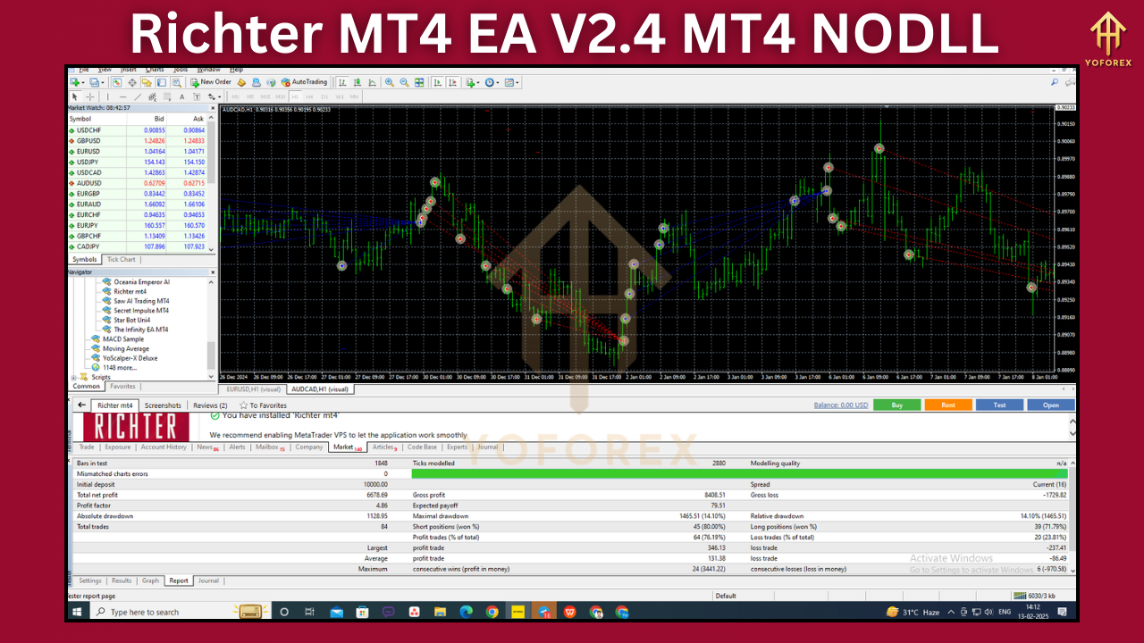 Richter MT4 EA V2.4