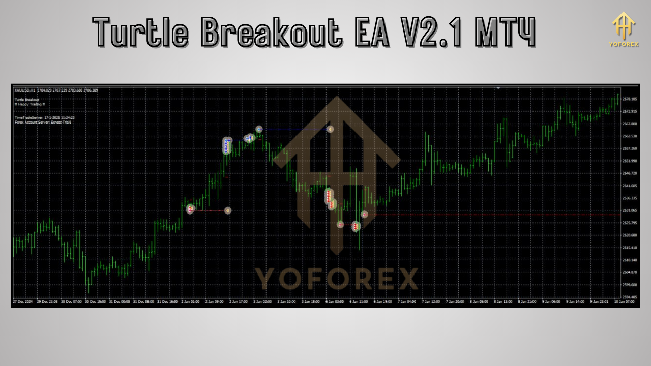 Turtle Breakout EA V2.1 MT4