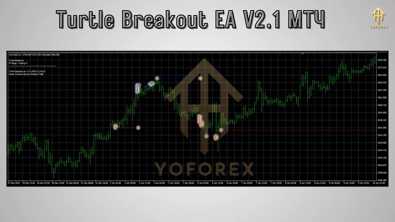Turtle Breakout EA V2.1 2 Turtle Breakout EA V2.1 MT4