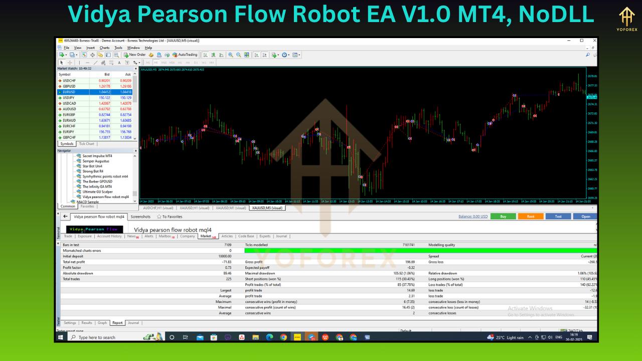 Vidya Pearson Flow Robot EA V1.0