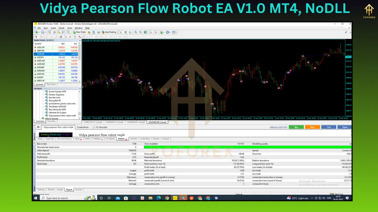 Vidya Pearson Flow Robot EA V1.0 3 Vidya Pearson Flow Robot EA V1.0