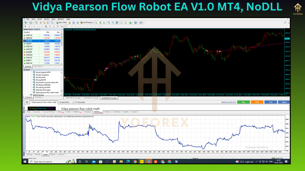 Vidya Pearson Flow Robot EA V1.0