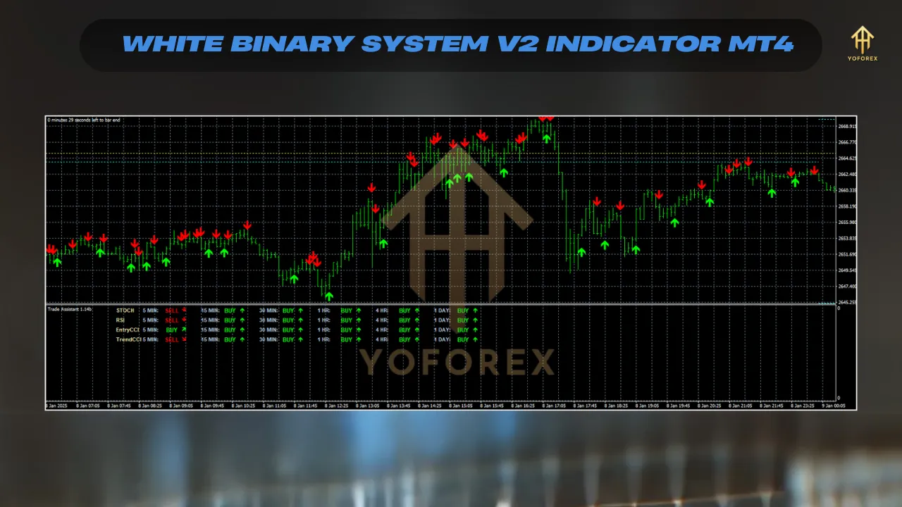 White Binary System V2 Indicator 3 bina 2
