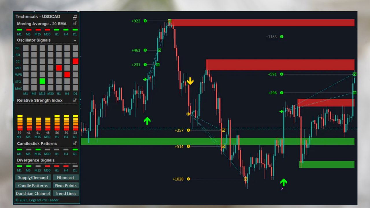 Flexy Markets vs. Exness: Advanced Trading Tools and Features