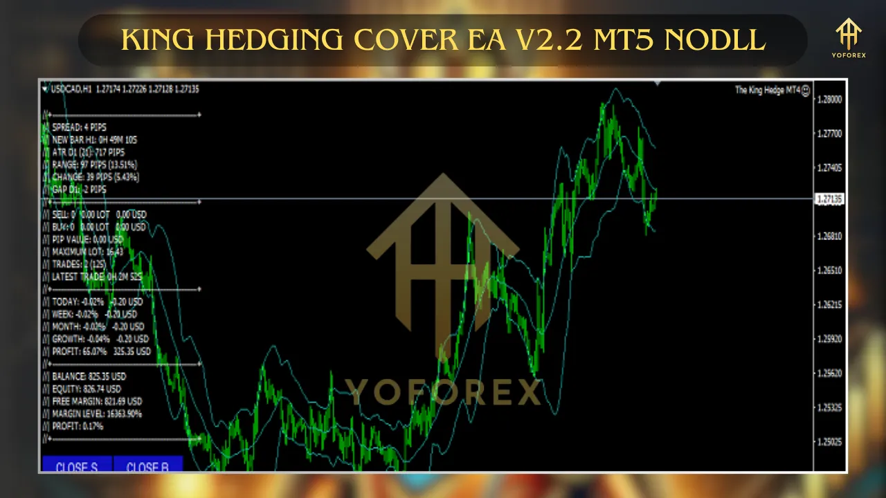 King Hedging Cover EA v2.2 2 king