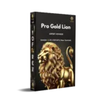 Pro Gold Lion EA V1.70 6 Pro Gold Lion EA V1.70 MT5