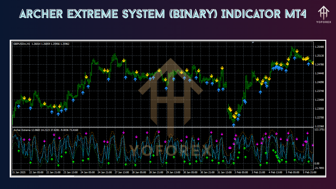 Archer Extreme System (BINARY) Indicator