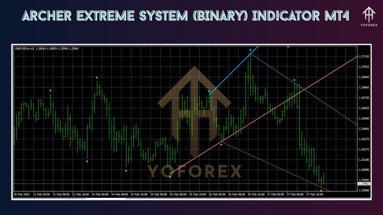 Archer Extreme System (BINARY) Indicator