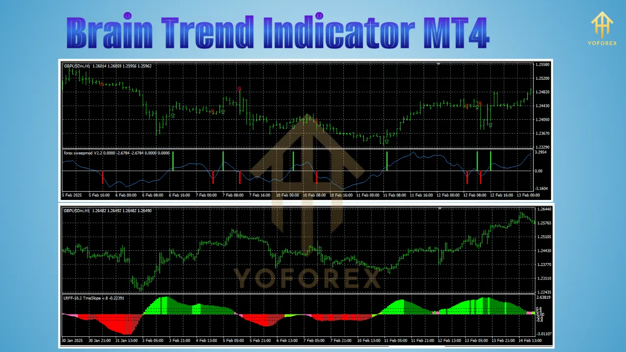 Brain Trend Indicator 3 Brain Trend Indicator