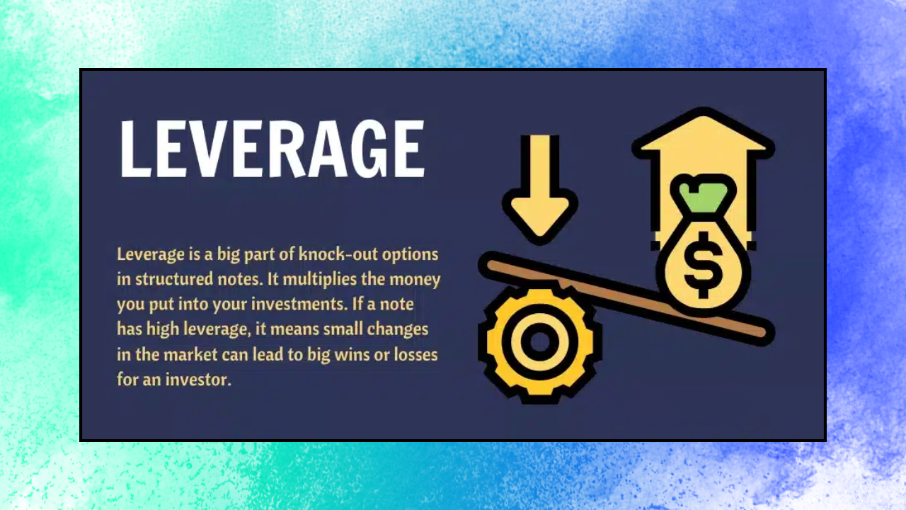 HFM vs. Flexy Markets