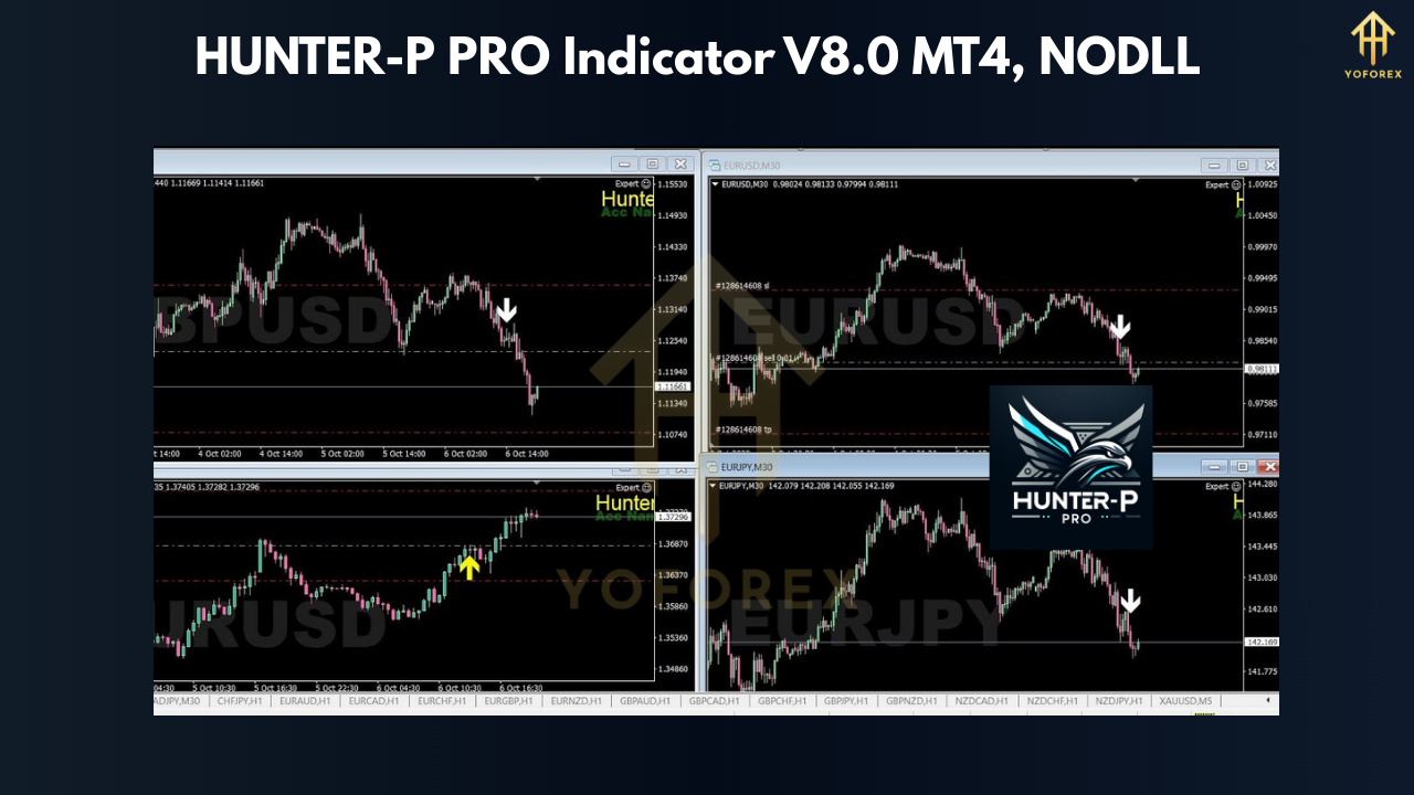 HUNTER-P PRO Indicator V8.0 MT4