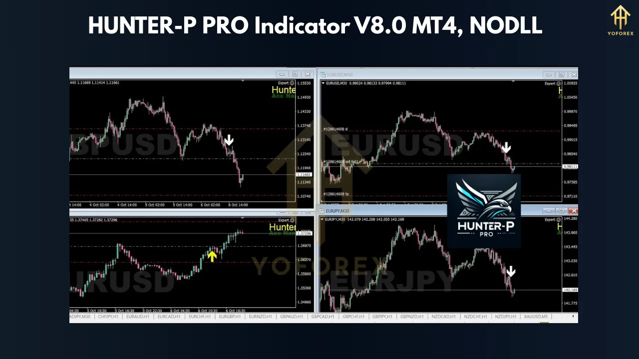 HUNTER-P PRO Indicator V8.0 MT4 – The Ultimate Tool for Accurate Forex Trading Signals 3 HUNTER-P PRO Indicator V8.0 MT4