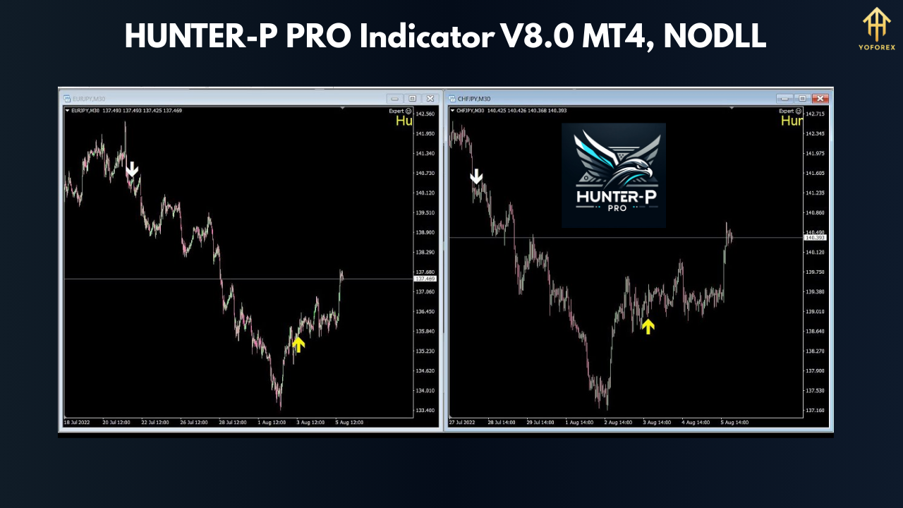 HUNTER-P PRO Indicator V8.0 MT4