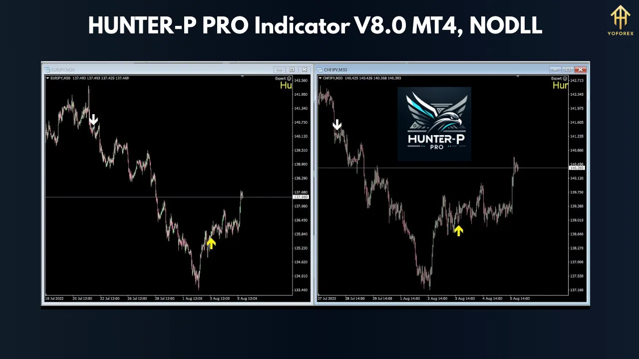 HUNTER-P PRO Indicator V8.0 MT4 – The Ultimate Tool for Accurate Forex Trading Signals 2 HUNTER-P PRO Indicator V8.0 MT4