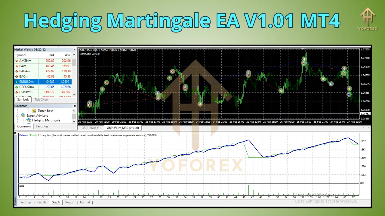 Hedging Martingale EA V1.01 3 Hedging Martingale EA V1.01