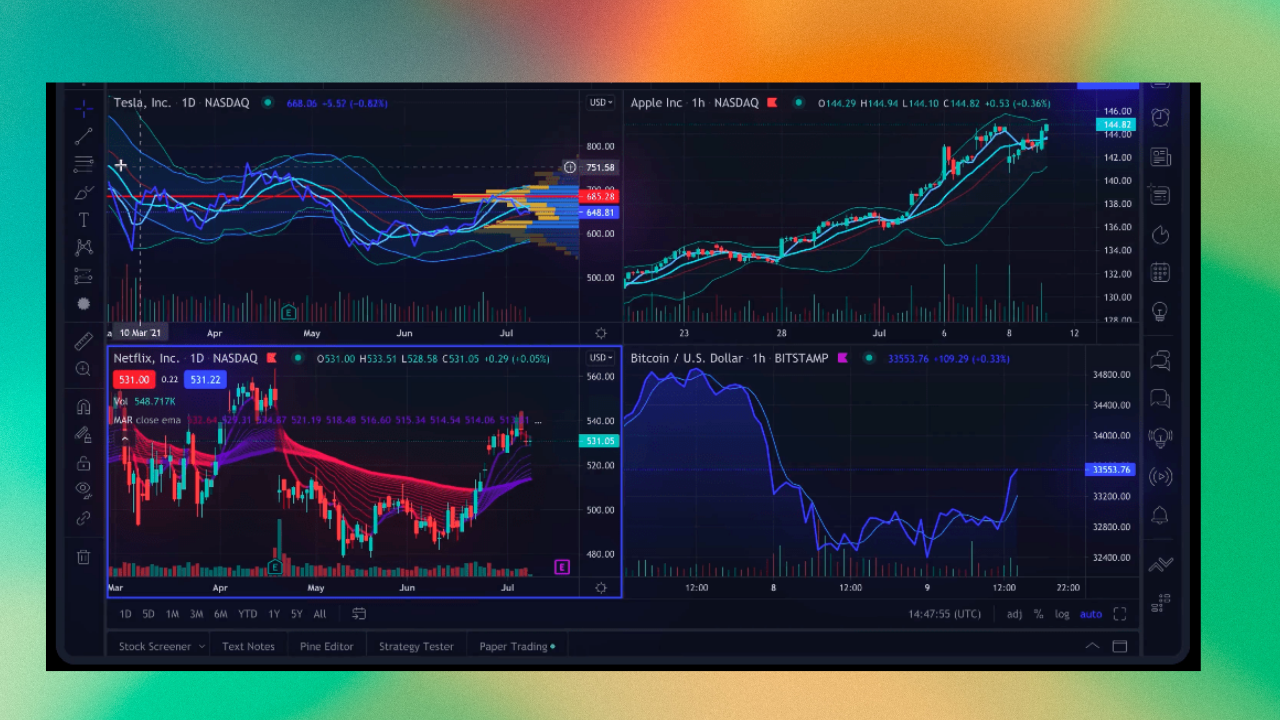 Neex vs. Flexy Markets 2