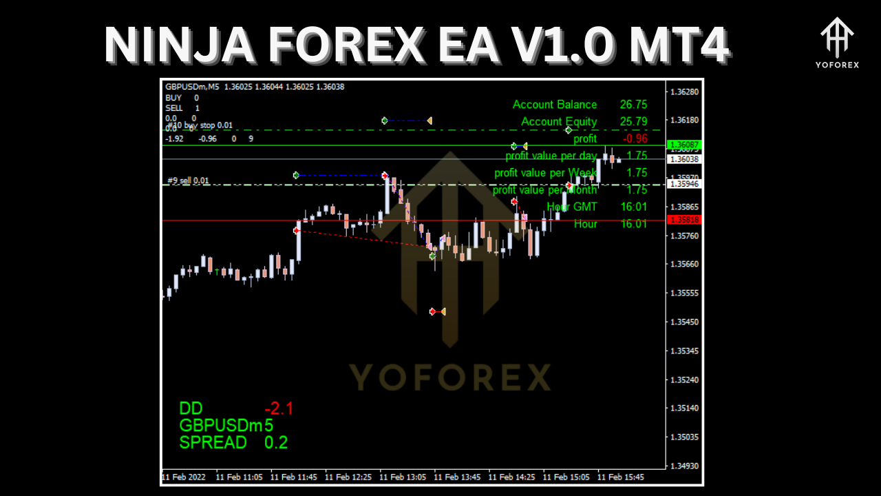 Ninja Forex EA V1.0