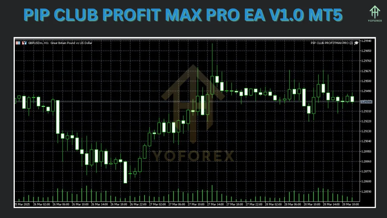 PIP CLUB PROFIT MAX PRO EA V1.0 2 PIP CLUB PROFIT MAX PRO EA V1.0