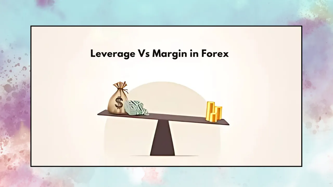 PU Prime vs. Flexy Markets