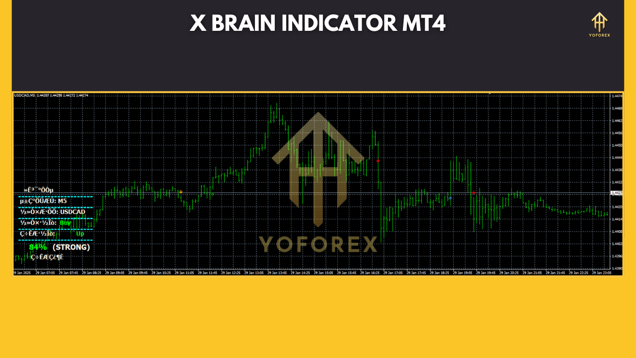X Brain Indicator