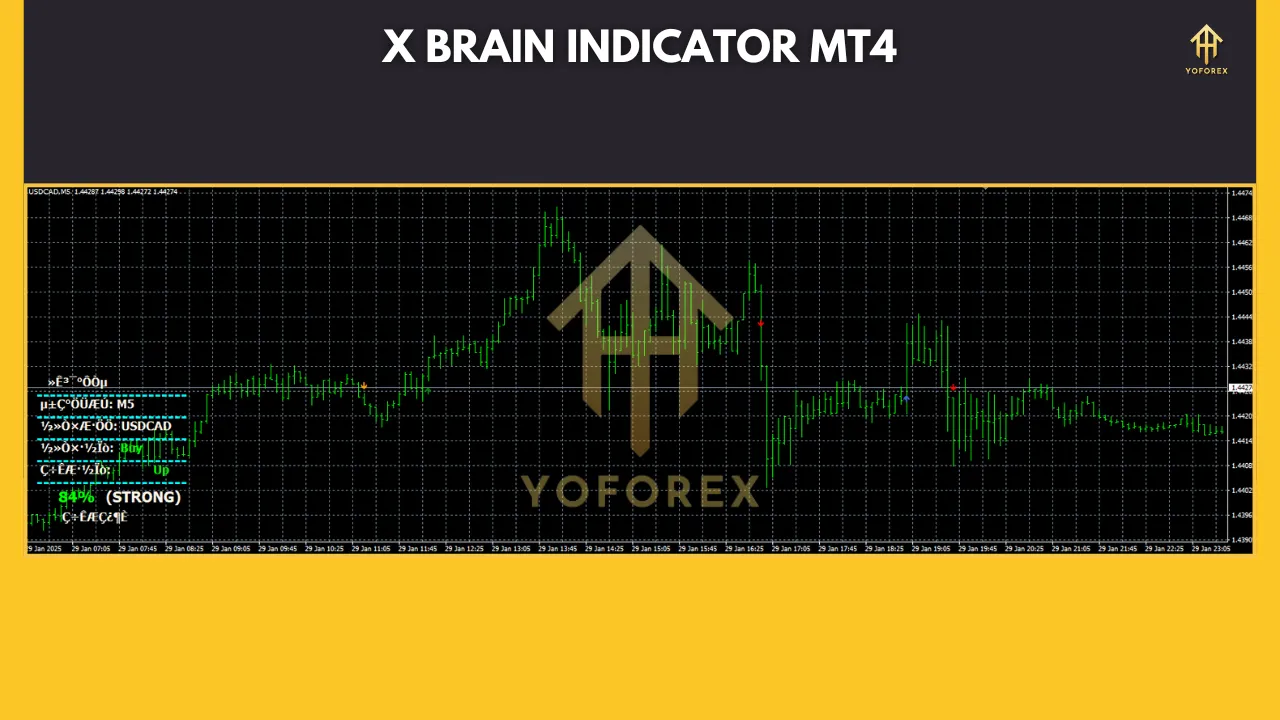 X Brain Indicator 2 X Brain Indicator