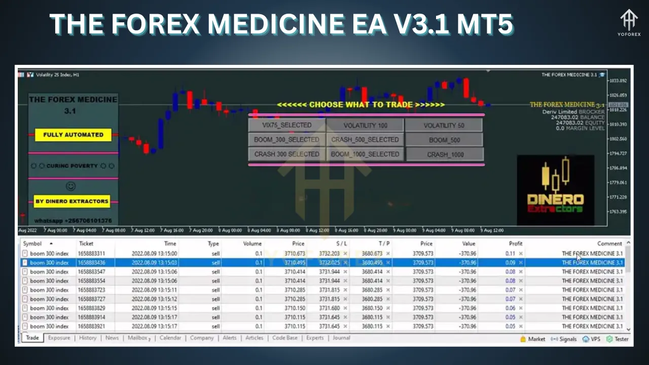 THE FOREX MEDICINE EA V3.1 3 THE FOREX MEDICINE EA V3.1