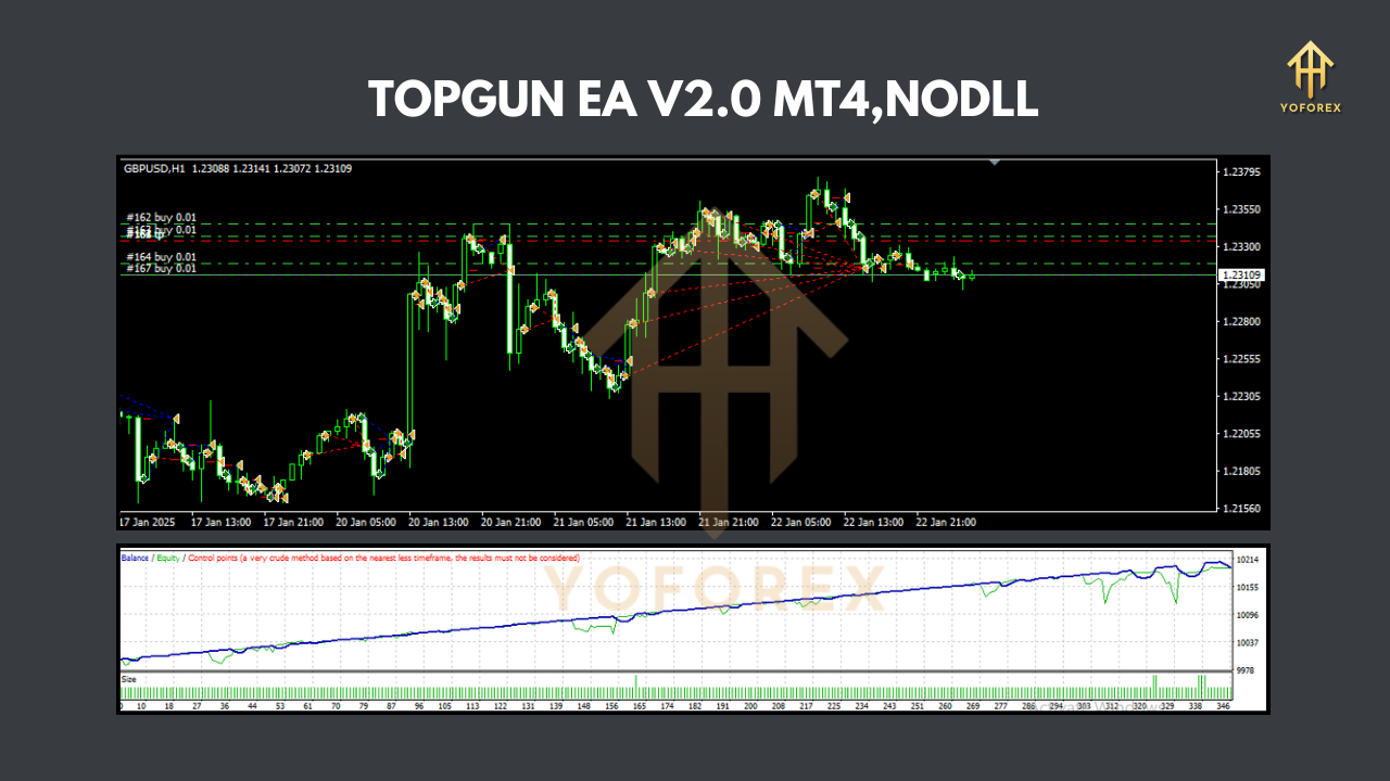 TOPGUN EA V2.0