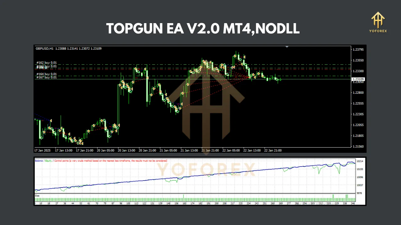 TOPGUN EA V2.0 3 TOPGUN EA V2.0