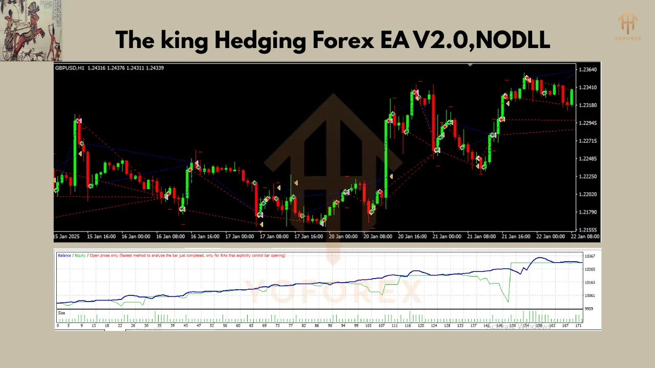 The king Hedging Forex EA V2.0