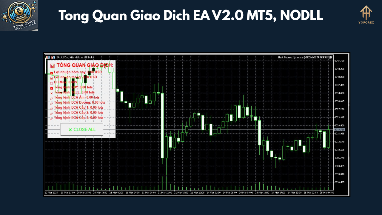 Tong Quan Giao Dich EA V2.0 MT5