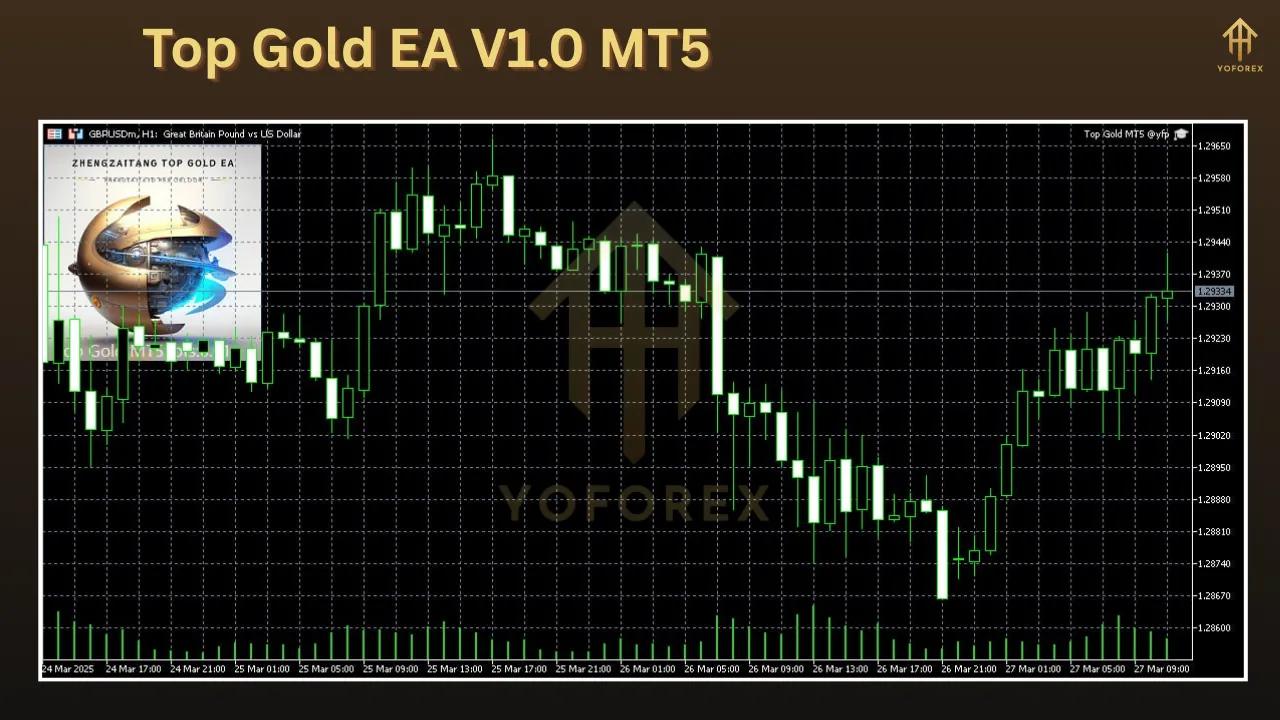 Top Gold EA V1.0 2 Top Gold EA V1.0 MT5