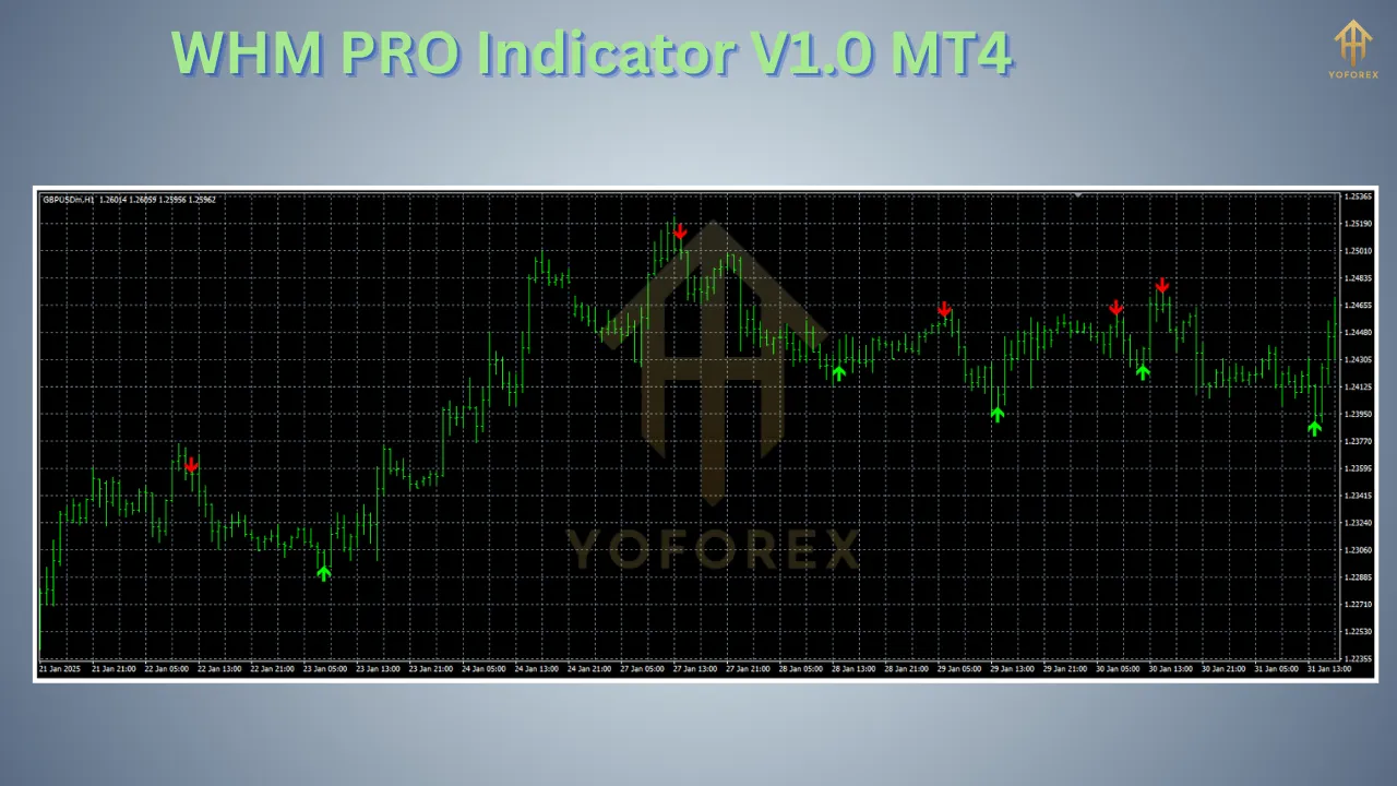 WHM PRO Indicator V1.0