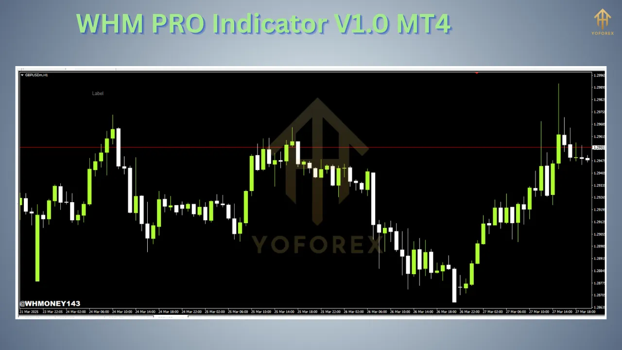 WHM PRO Indicator V1.0