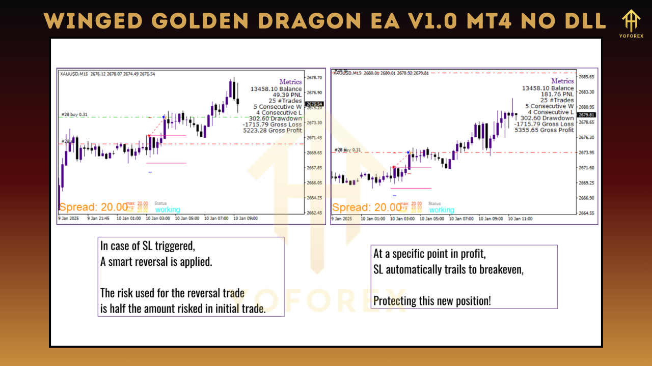 Winged Golden Dragon EA V1.0