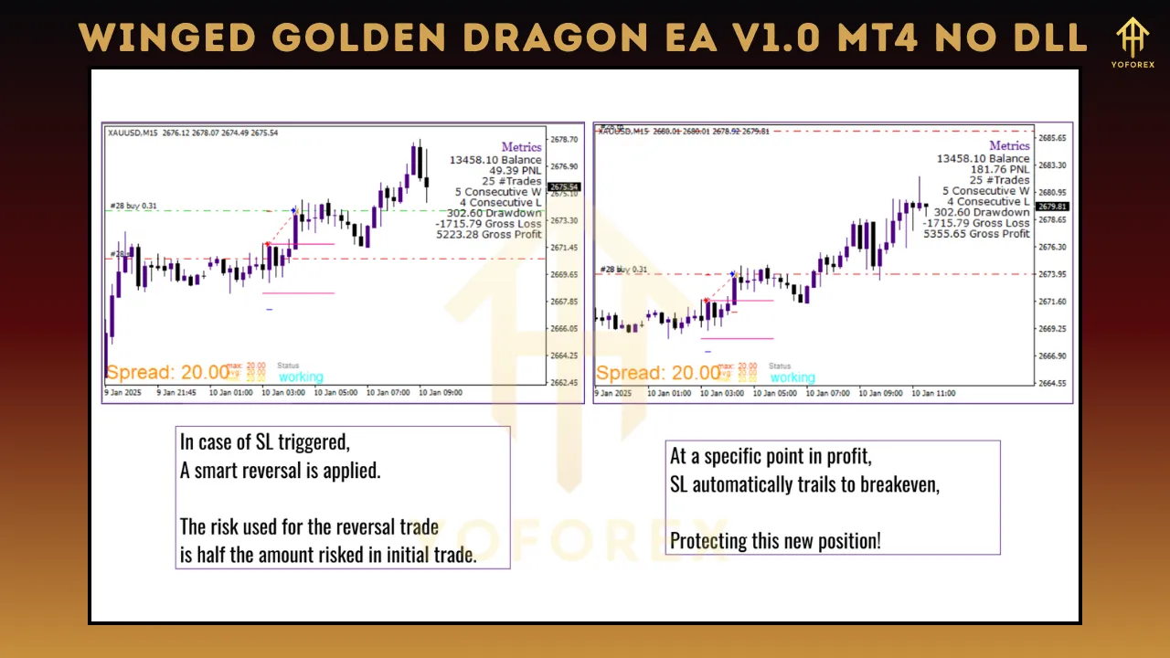 Winged Golden Dragon EA V1.0 4 Winged Golden Dragon EA V1.0
