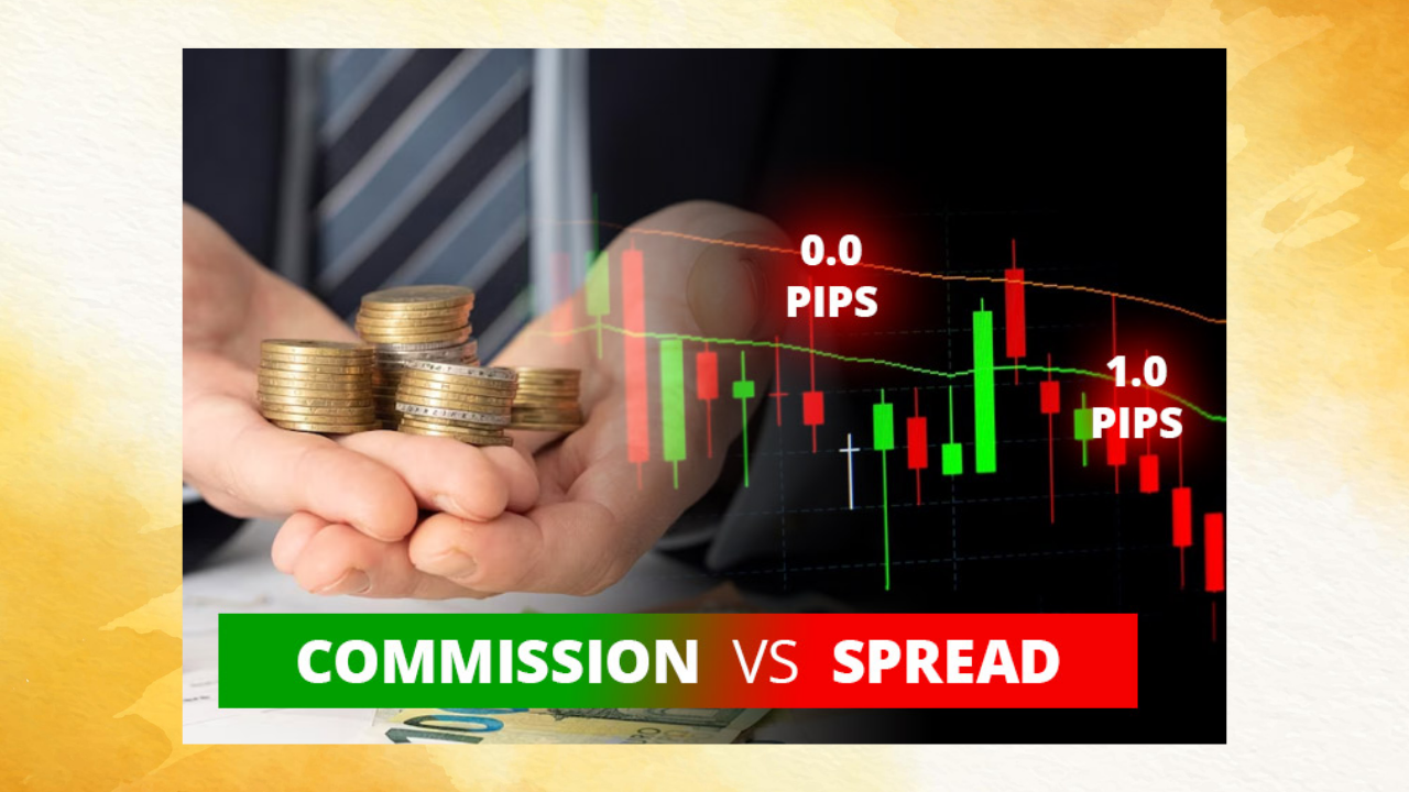Spreads and Commissions: Startrader vs. Flexy Markets