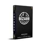Bizarr XAUUSD H1 EA V1.0