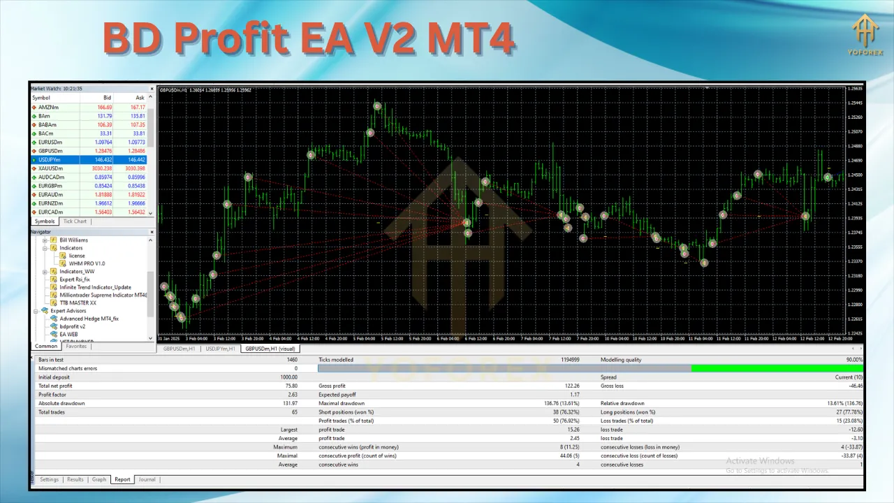 BD Profit EA V2 MT4