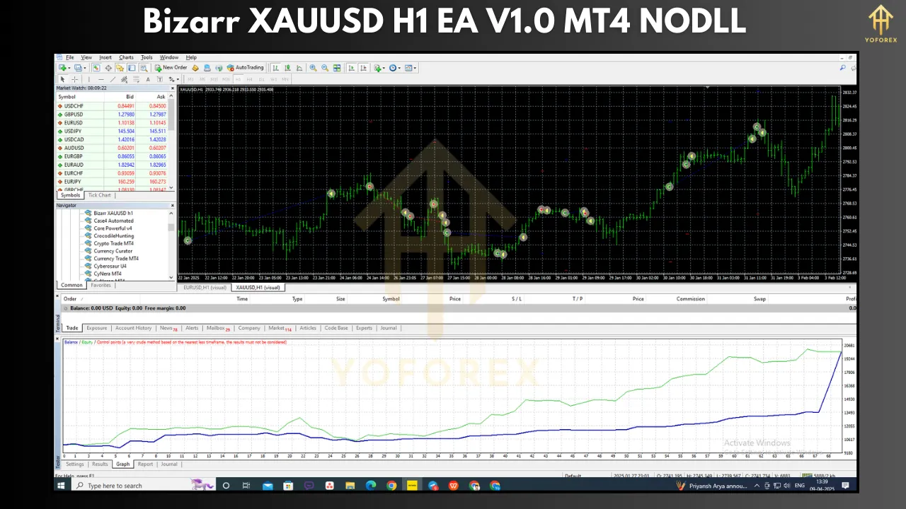 Bizarr XAUUSD H1 EA V1.0