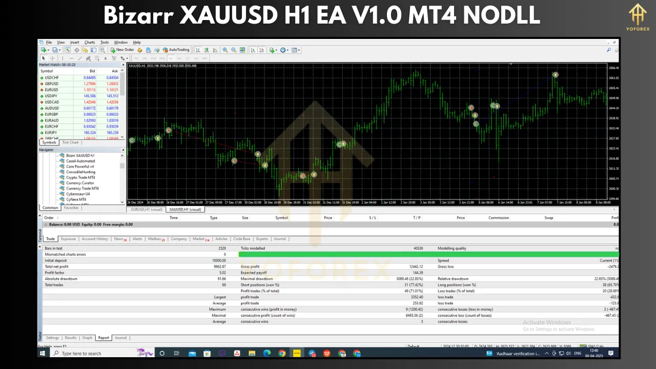 Bizarr XAUUSD H1 EA V1.0